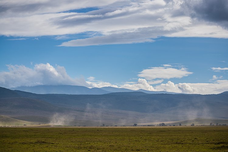 TZA ARU Ngorongoro 2016DEC26 Crater 052